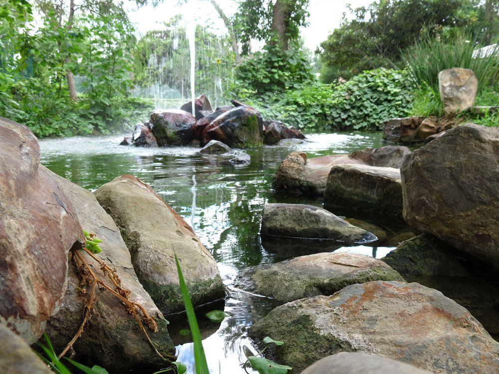 Rincon Del Montero Hotel Parras de la Fuente Ngoại thất bức ảnh