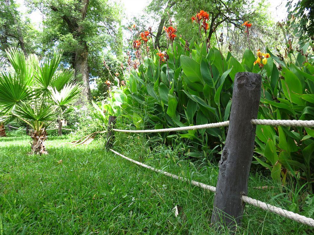 Rincon Del Montero Hotel Parras de la Fuente Ngoại thất bức ảnh